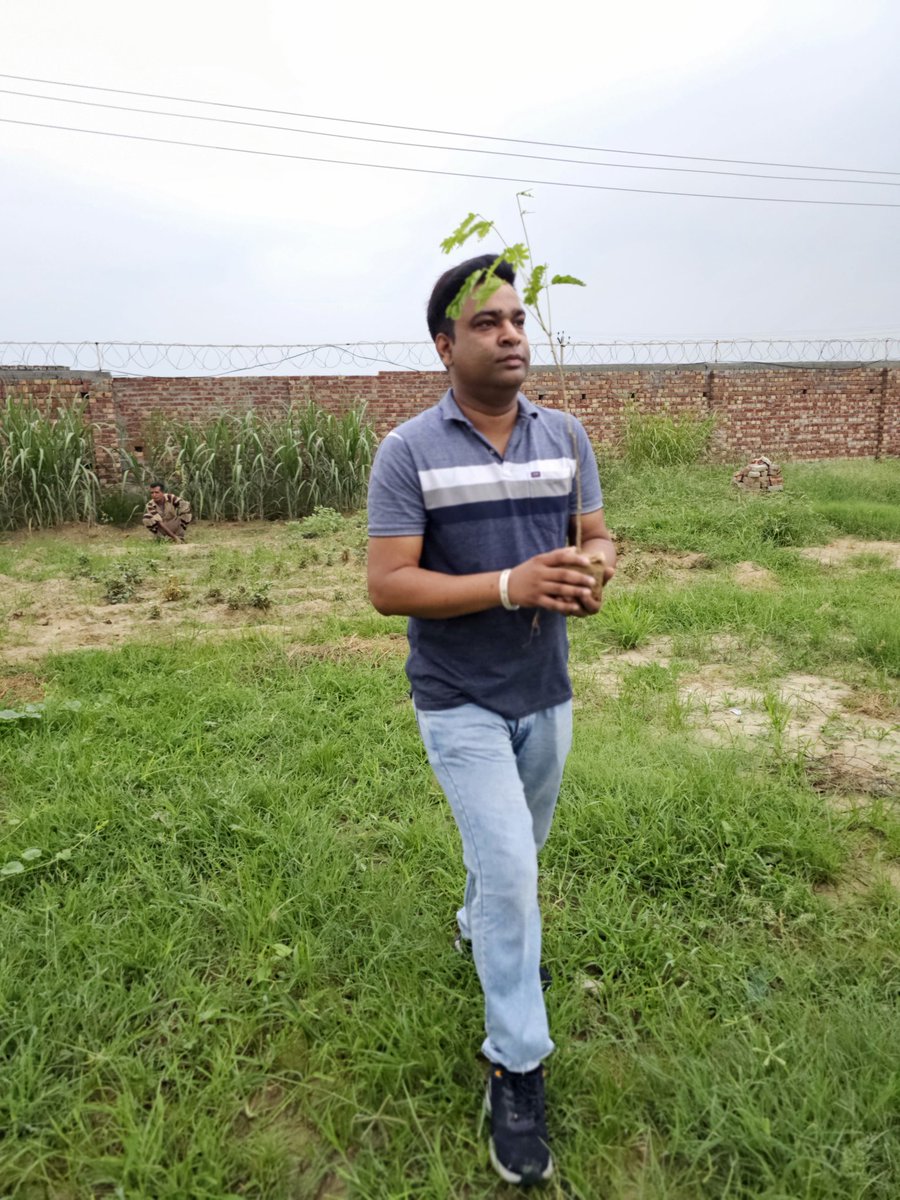 —  tree planting initiatives, environmental sustainability projects, green gifts for future generations