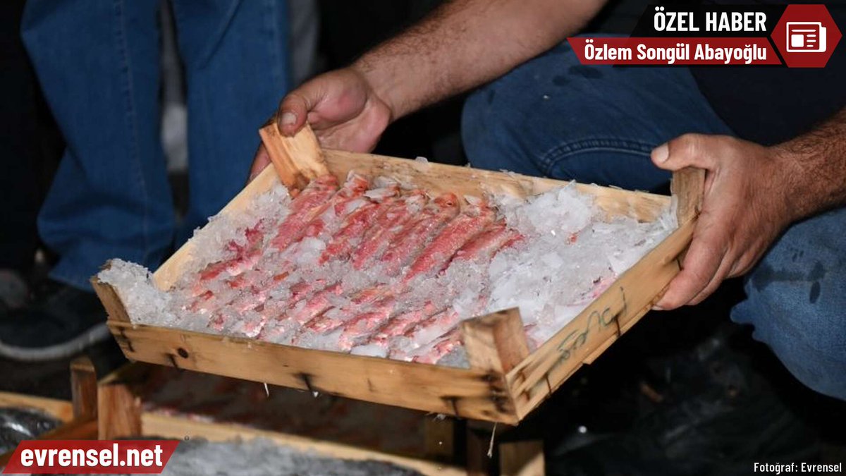 Bağcılar’dan bir inşaat işçisi: Balık almak imkansız mı? #Evrenselcumartesi —  Bağcılar inşaat işçisi, İstanbul'dan bir işçi, Geçim sıkıntısı yaşayan inşaat emekçisi