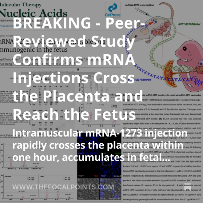 BREAKING: Study Reveals mRNA Injections Reach Fetus in Mice!
