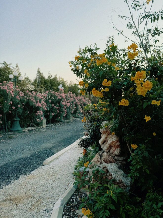 Blossoms Awaken: Spring's Controversial Battle Over Nature's Love!