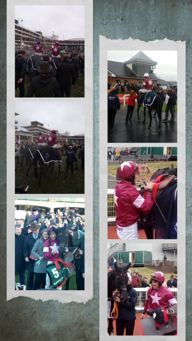 Death of Delta Work: Beloved Cheltenham Champion Passes Away
