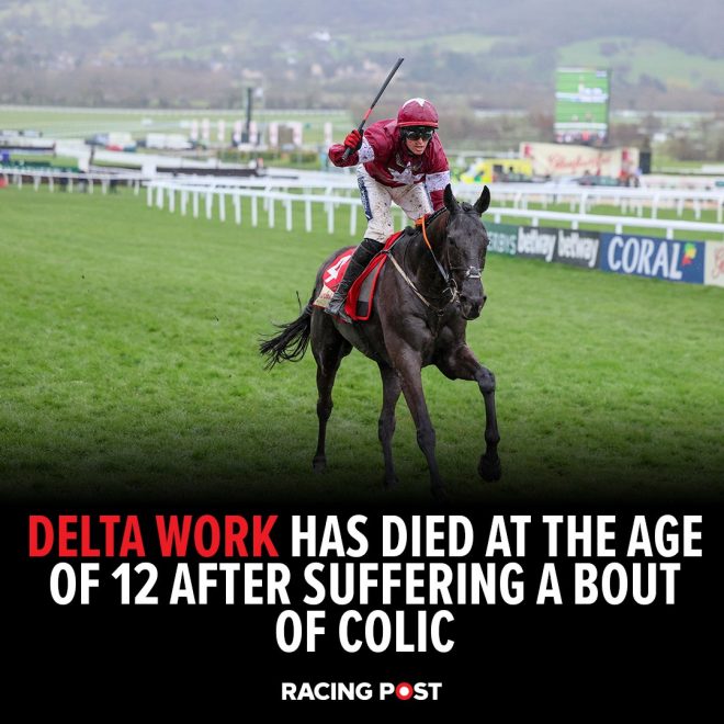Death of Delta Work: Three-Time Cheltenham Winner Passes Away