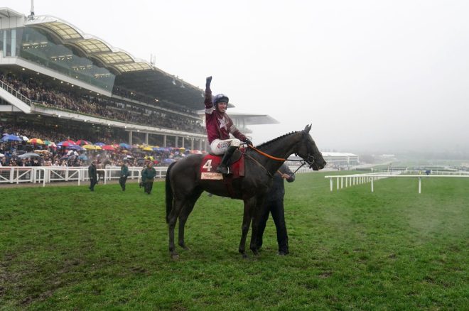Death of Delta Work at 12: A Brilliant Horse Lost đź’”