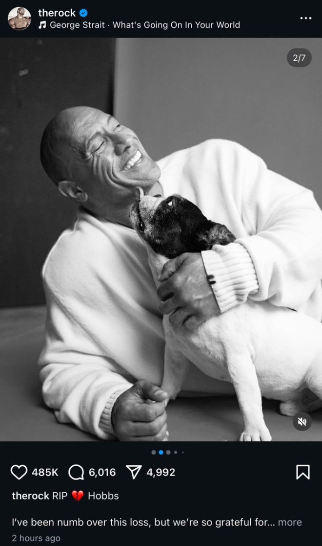 Death of Dwayne Johnson's Beloved Dog HOBBS Shocks Fans