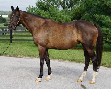 Death of G1 Winner Panty Raid at 21: A Legacy Endures