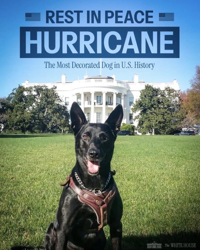 Death of Secret Service K-9 Who Protected Obama at 15