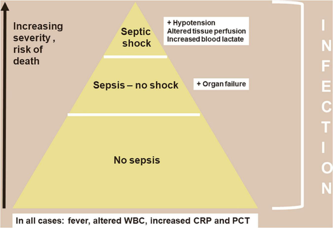 Death of Severe Sepsis: A Tragic End to a Silent Killer