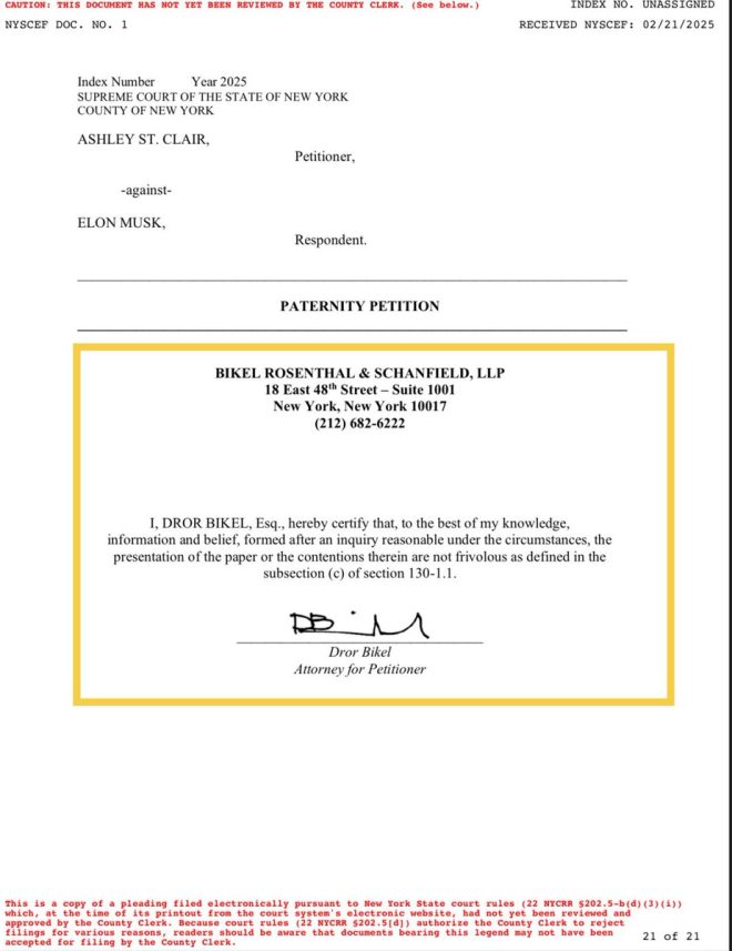 🚨EXCLUSIVE🚨 Anti-Trump Lawyer Battles Elon Musk for Custody!