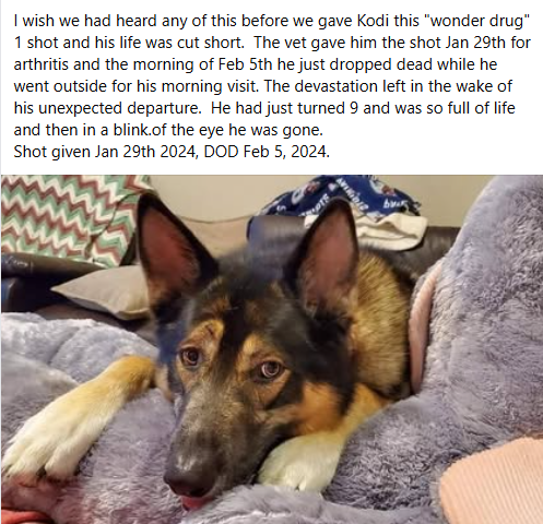 Heartbreaking Death of Kodi: Life Cut Short by Librela