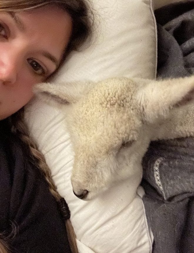 Heartfelt Death Notice: Our Beloved Flopsy Has Passed Away