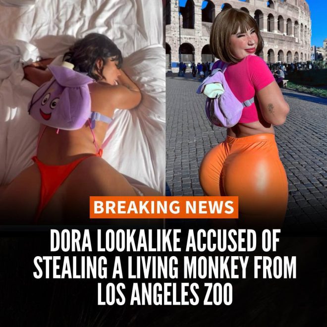 Shocking Footage Emerges: Is This a Crime or Just a Joke?