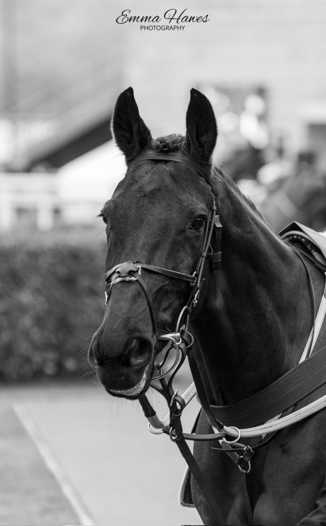 Tragic Death of Delta Work: Racing Community Mourns đź’”