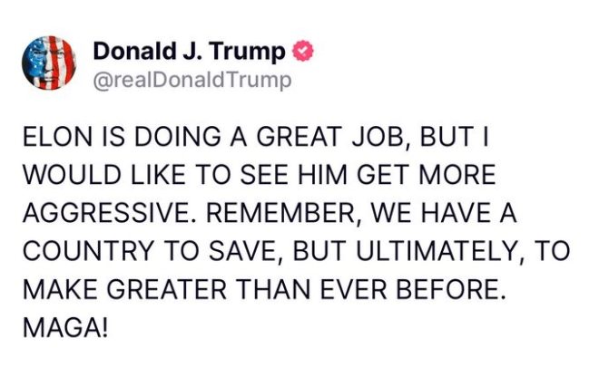 Trump Urges Elon Musk to 'Get More Aggressive'—What’s Next?