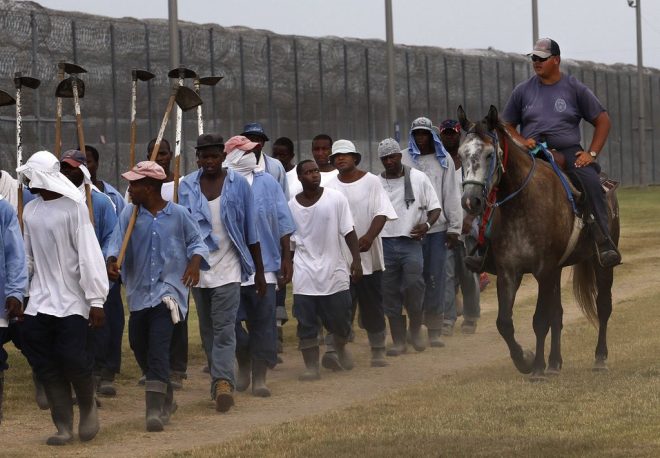 Angola Prison: Modern-Day Slavery or Just Rehabilitation?