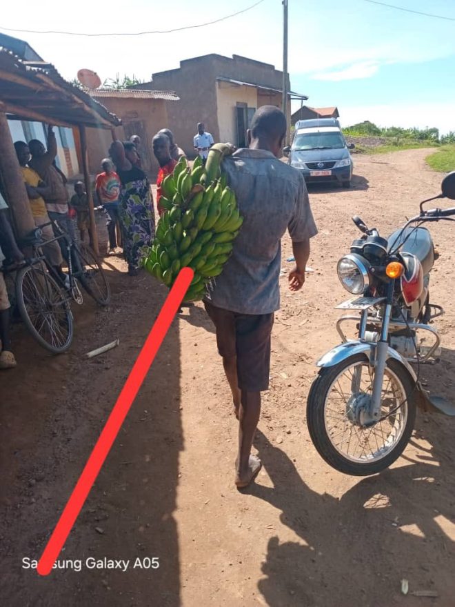 BREAKING: K9 Heroics Spark Outrage in Ntungamo's Stolen Matooke Case!