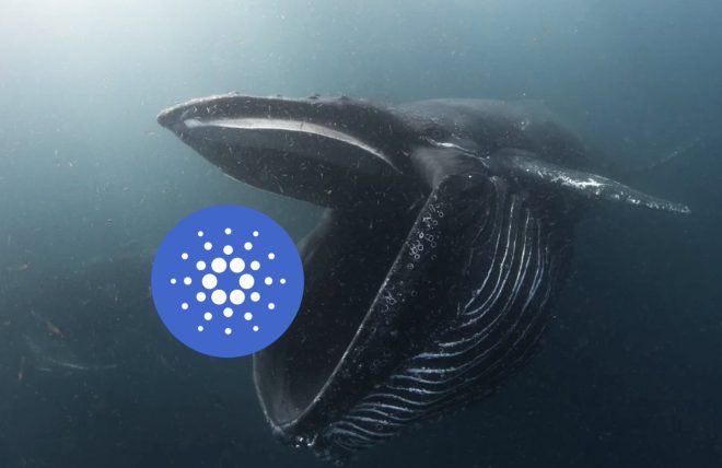 Cardano Whales Accumulate 420M $ADA in 36 Hours: Market Shock!