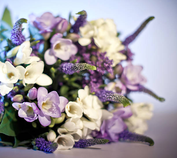 Death of Alex Taber: A Sad Farewell from Idaho