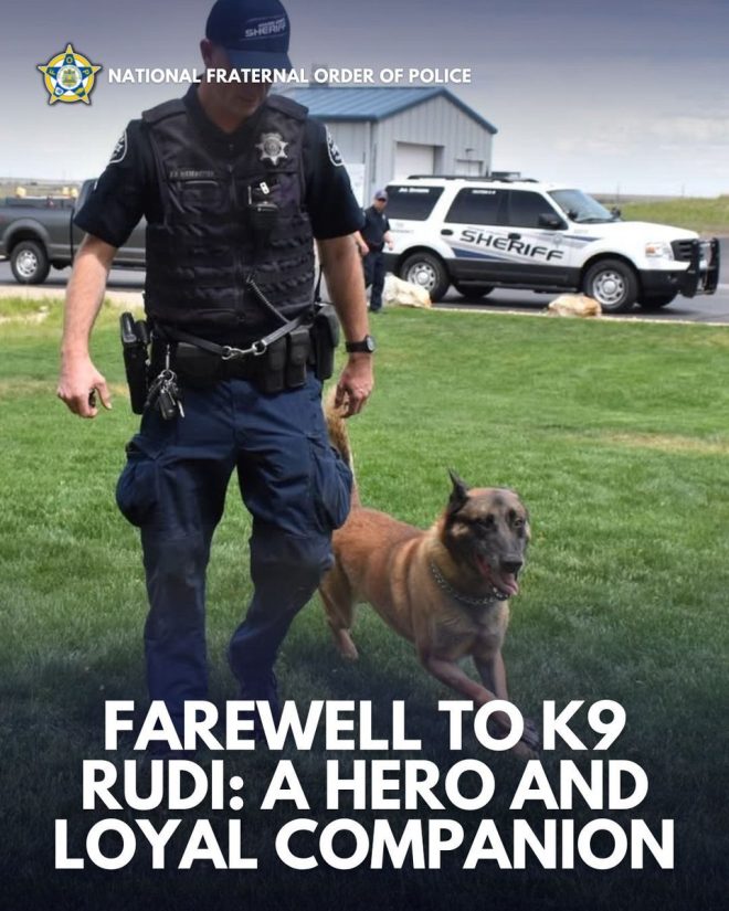 Death of Beloved K9 Rudi: A Loyal Companion's Farewell