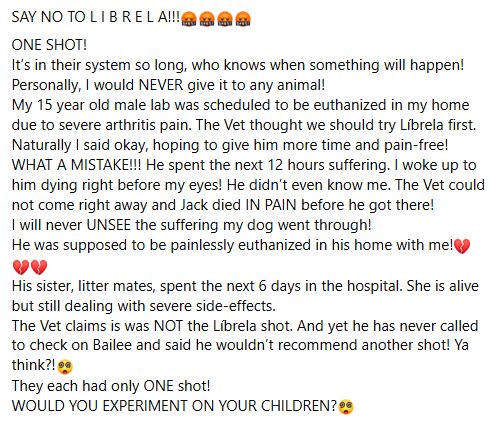 Death of Jack: Suffered Horribly After Librela Treatment