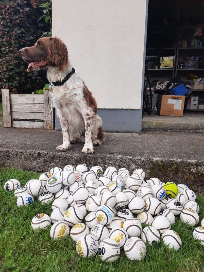 Death of Snoop Pender: A Dog in a Million, Forever Missed