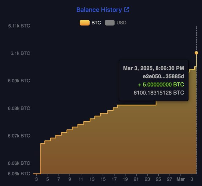 El Salvador's Bitcoin Gamble: Another 5 BTC Added to Controversial Reserve!