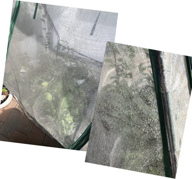 Florida's Crops Poisoned: Toxic Sludge Under Tarp Exposed!
