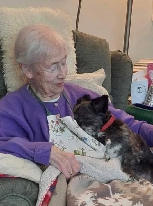 Heartbreaking Death: 89-Year-Old Mum Loses Beloved Dog