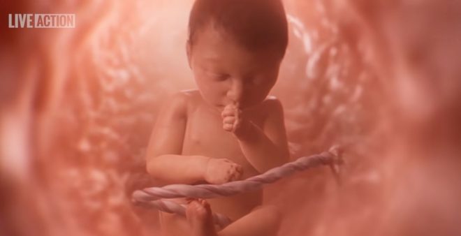 Idaho's Shocking New Law: Students Mandated to Study Fetal Growth!