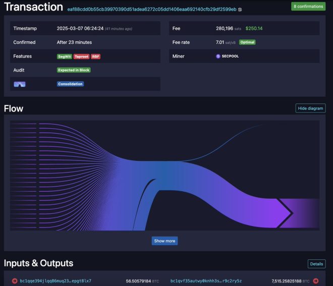 JUST IN: $700 Million Moved for Just $200—Bitcoin Shockwaves!