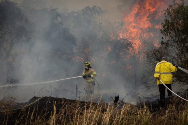BREAKING: Arson Suspects Arrested in Jerusalem Firestorm!
