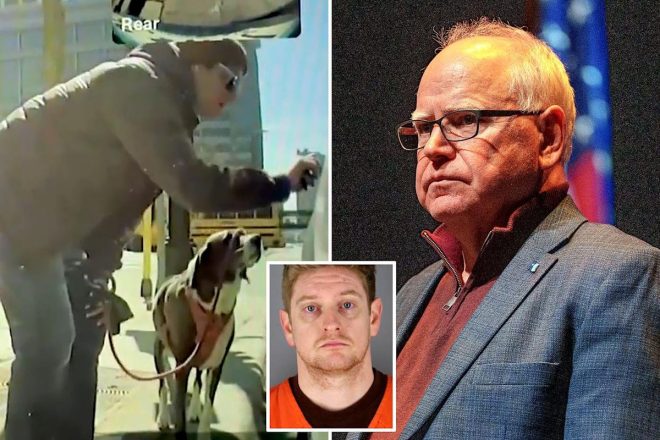 BREAKING: MN Gov's Aide Arrested for Vandalizing Tesla Cars!