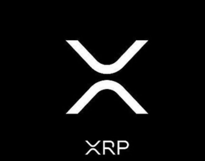 🚨BREAKING: Teucrium CEO Calls XRP "Most Utility," Praises Ripple Team!