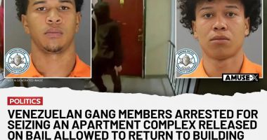Breaking: TdA Members Released, Escaped Despite Electronic Monitoring!