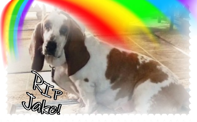 Death Announcement: Remembering Jake @GG0756473051