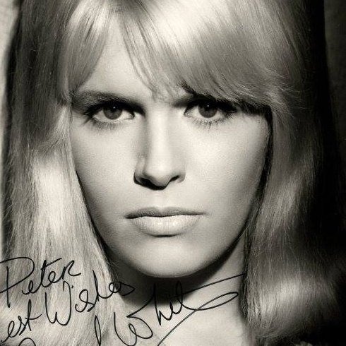 Death of Actress Carol White: A Tragic Tale of Fame and Struggle