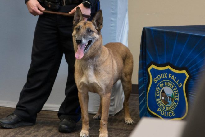 Death of Beloved Retired K9 Doerak: A Life of Service