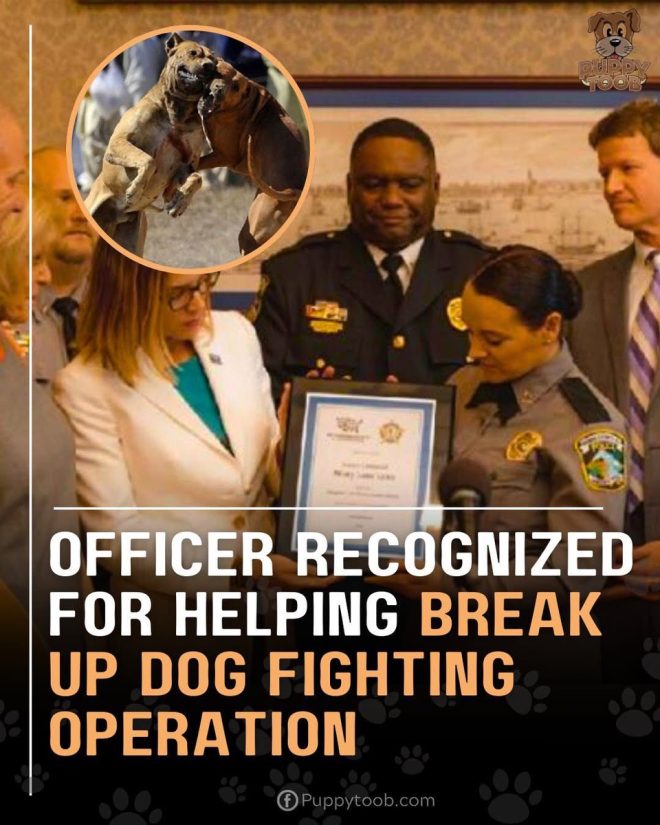 Heroic Officer Takes Down Dog Fighting Ring, Uncovers Dark Secrets!