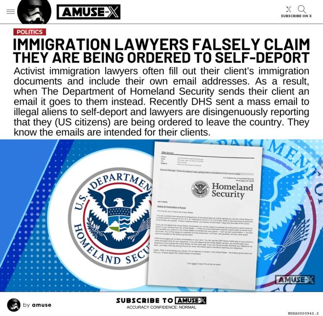 Immigration Lawyers Scandal: Misleading TV Claims Exposed!