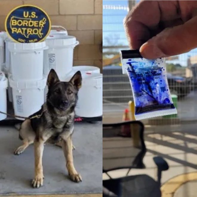 Massive 761 Pounds of Liquid Meth Seized! What’s Next for the Smuggler?