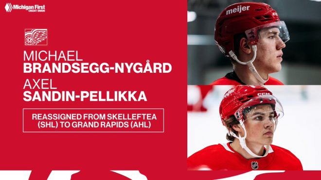 Red Wings Shock Fans: Star Prospects Sent to AHL in Surprise Move!