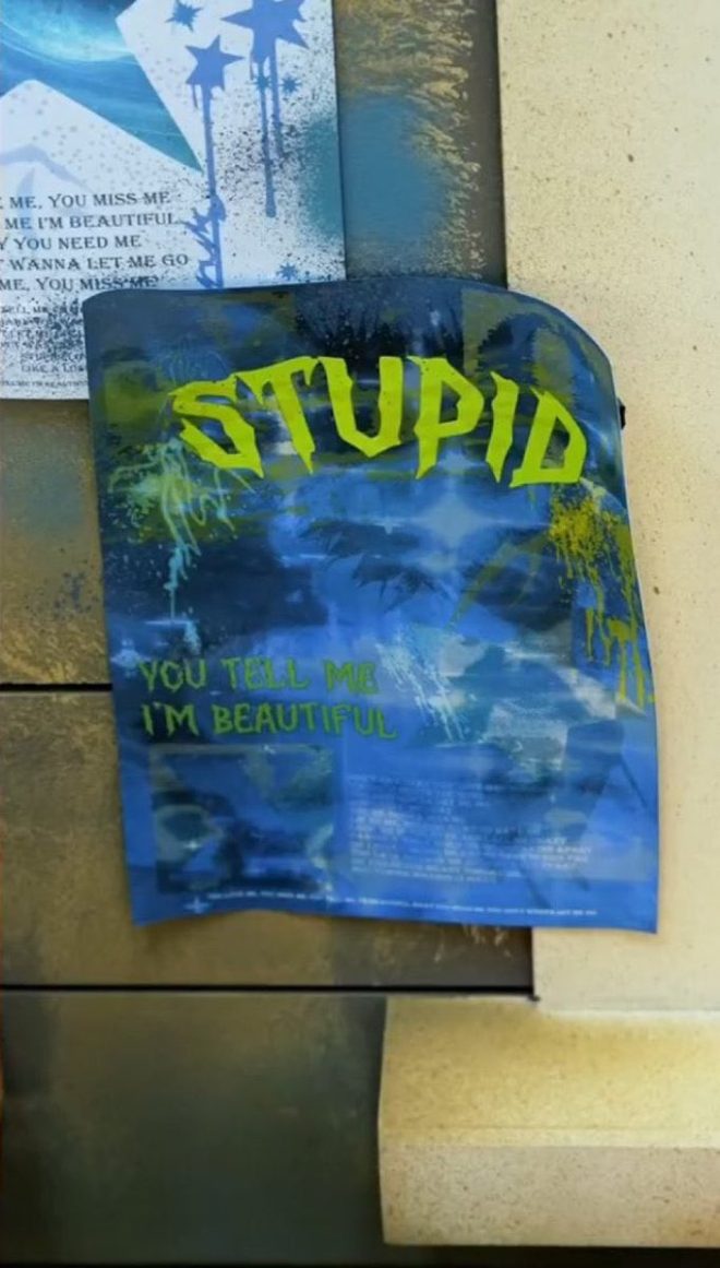 STUPID OR LOVE? The Shocking Truth Behind 'You Tell Me I'm Beautiful'