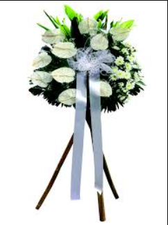 Shane Long Death News: Sadly Passed Away in Paramus, NJ