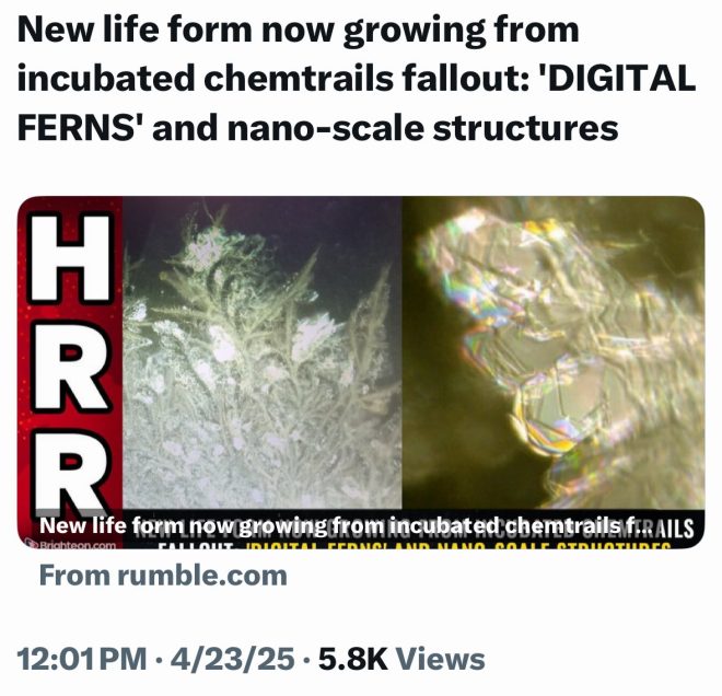 Shocking Discovery: Florida Chemtrails Spawn Ominous Structures!