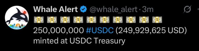 BREAKING: $250 Million USDC Minted—What Does This Mean for Crypto? — h3 Cryptocurrency News, h3 USDC Update, h3 Blockchain Developments 2025