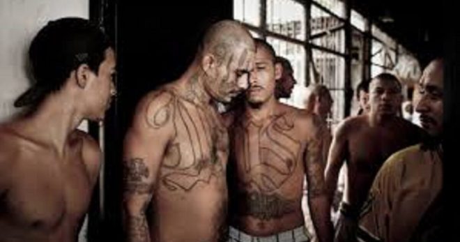 BREAKING: MS-13 Gang Members Stab Virginia Corrections Officers!