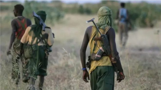 Deadly Clashes Erupt: Farmers vs. Herdsmen Leave 40 Dead! — Indigenous farmers conflict Taraba, Fulani herdsmen violence 2025, Karim-Lamido clashes news