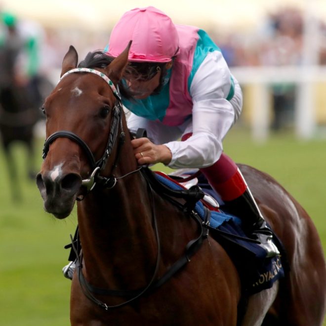 Death of 2018 Coventry Stakes Hero Calyx from Foot Injury ❤️