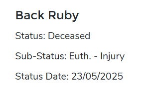 Death of Back Ruby: A Tragic End to a Racing Star
Born: 13 August 2021 - Killed: May 2025
#bangreyhoundracing