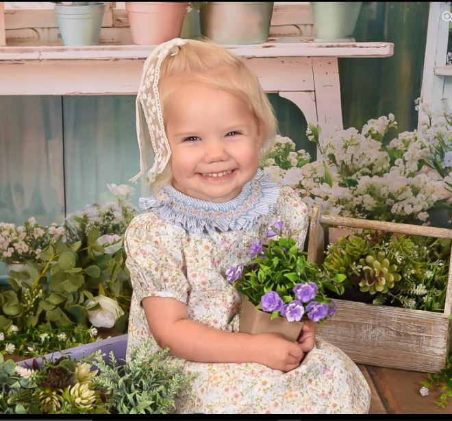 Death of Elliette Kocian: 2-Year-Old Girl's Tragic Accident