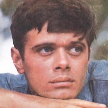 Death of Michael Sarrazin: The Actor with Soulful Eyes